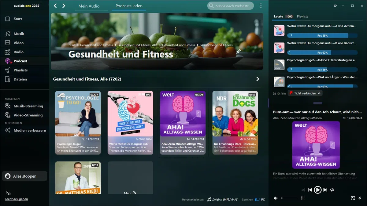 Audials One 2025 ULTRA Multilingual Windows 11/10 Dauerlizenz KI-Verbesserungen Streaming-Aufnahme Netflix Joyn Deezer Spotify Product Key Card
