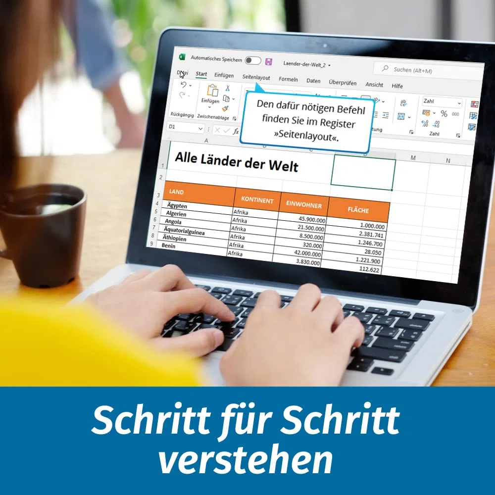 Excel 2021 Insiderkurs Powertraining für Fortgeschrittene Diagramme Pivot Formeln Funktionen Online-Kurs DVD 1 Nutzer-Lizenz