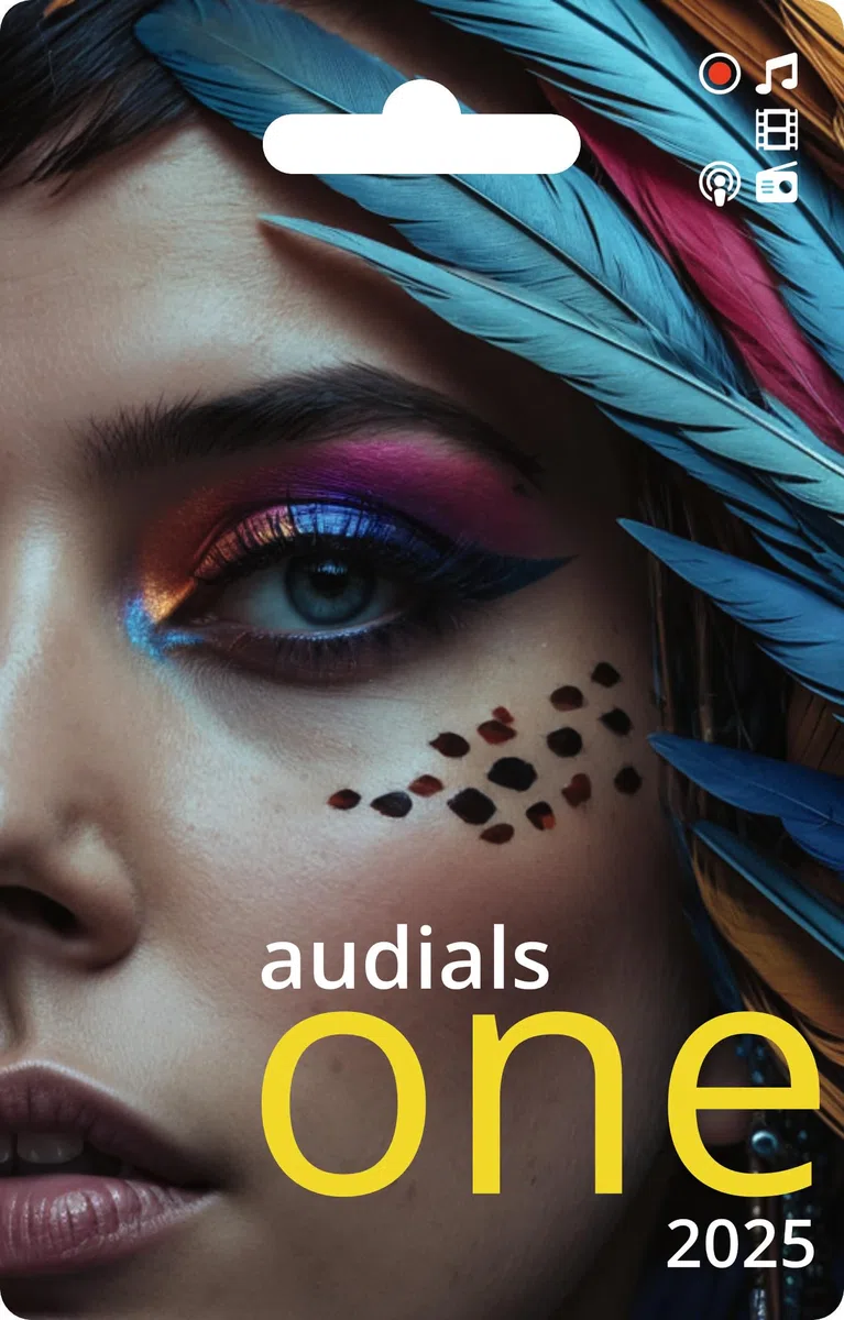 Audials One 2025 - Deutsch / Multilingual - Windows 11/10 - *Dauerlizenz* Aufnahme von Streamingdiensten wie Netflix, Joyn, Paramount+, Deezer, Spotify (Product Key Card) #PKC